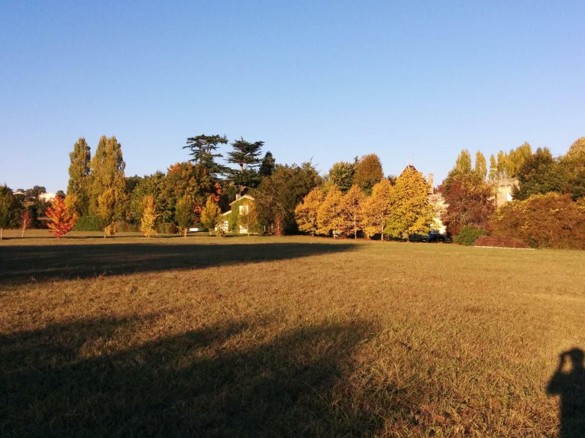 Chateau Ysard Camblanes-et-Meynac エクステリア 写真